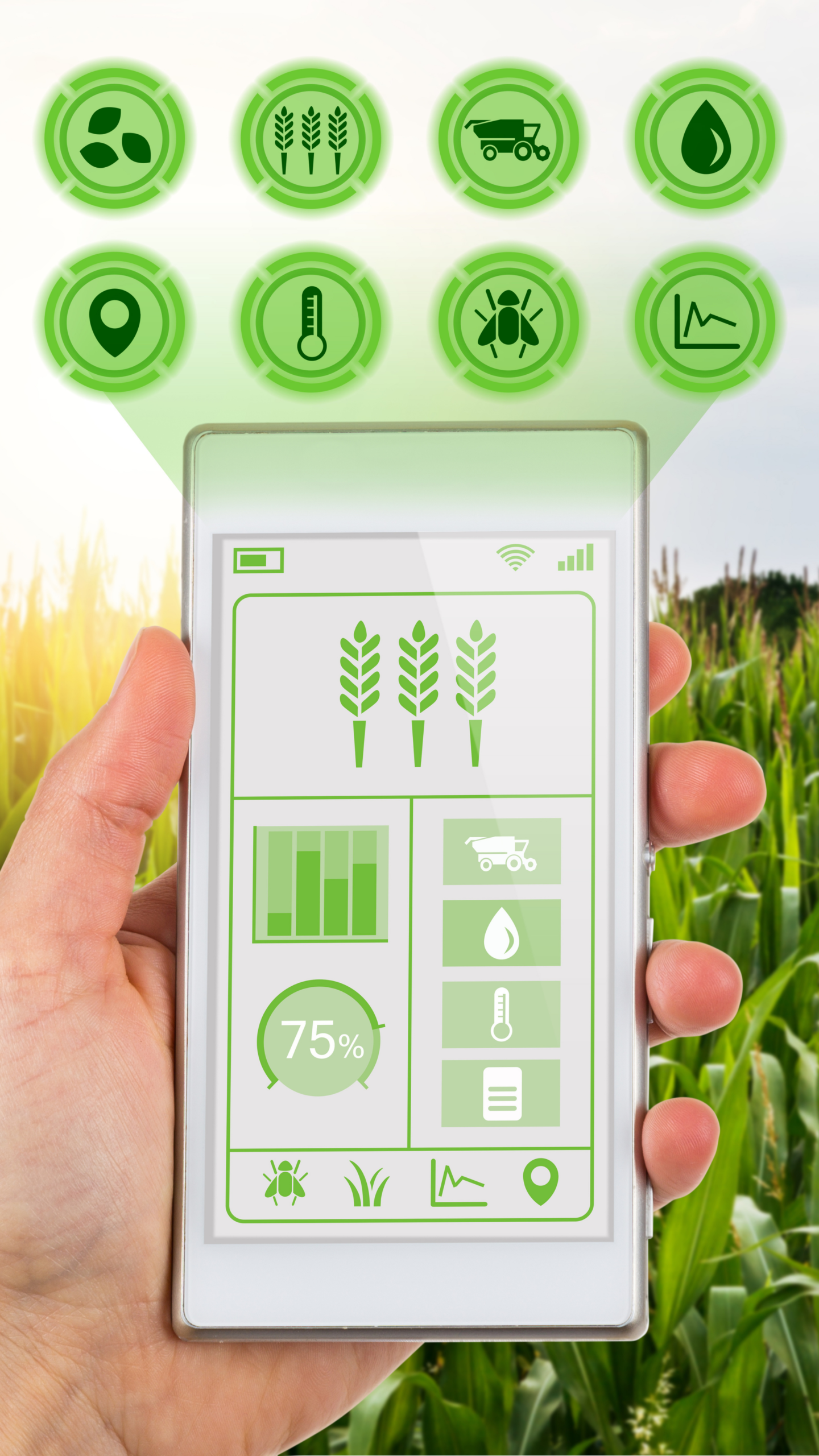 Provides fresh, high-quality produce to vendors