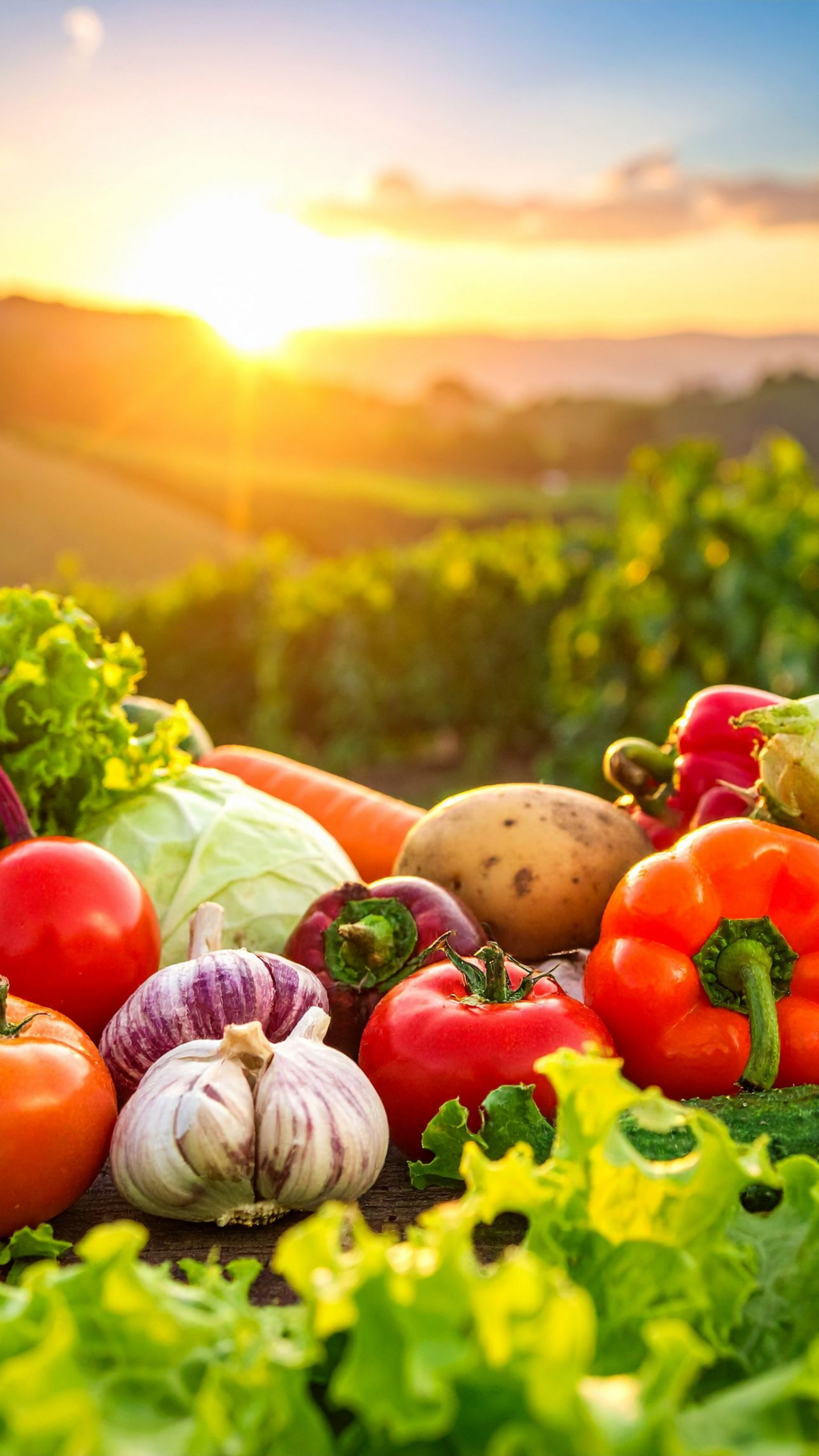 Reduces post-harvest losses